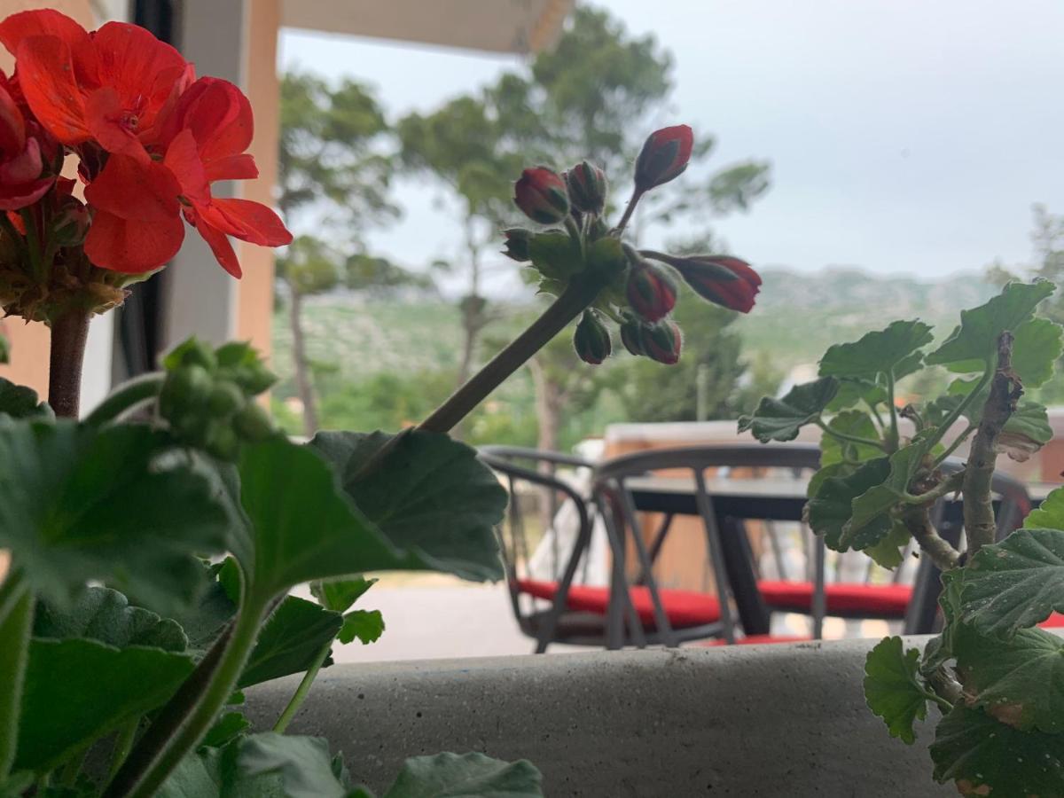 Apartmani Spomenka Селине Экстерьер фото